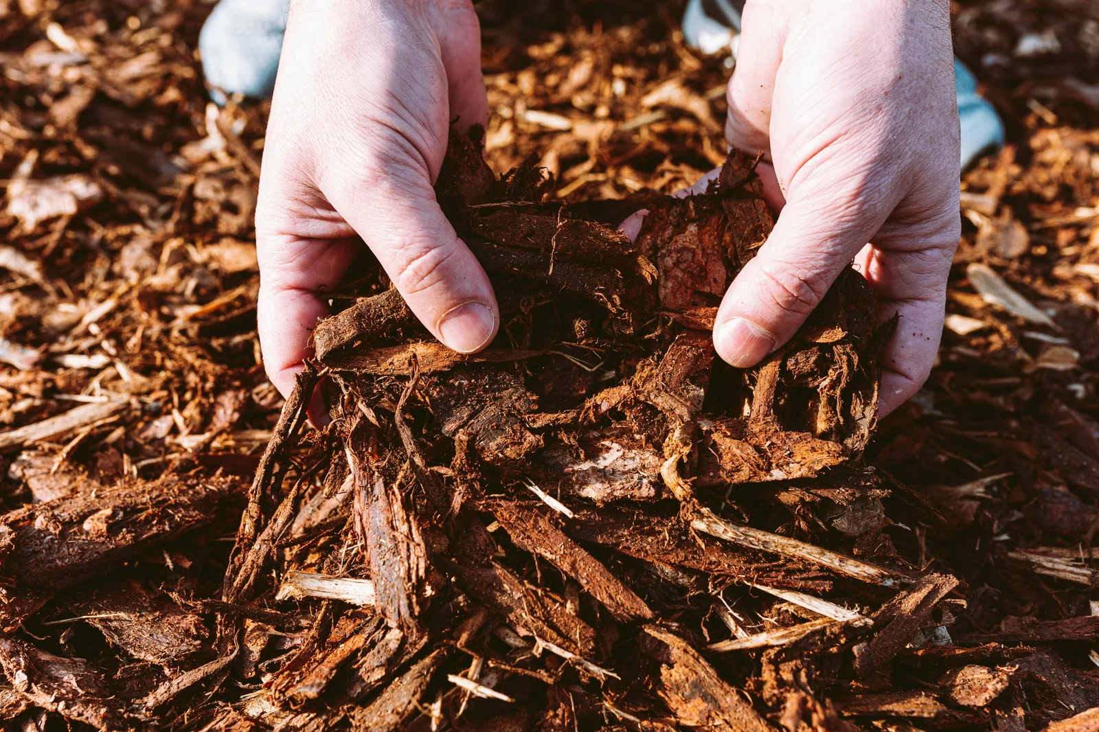 mulch