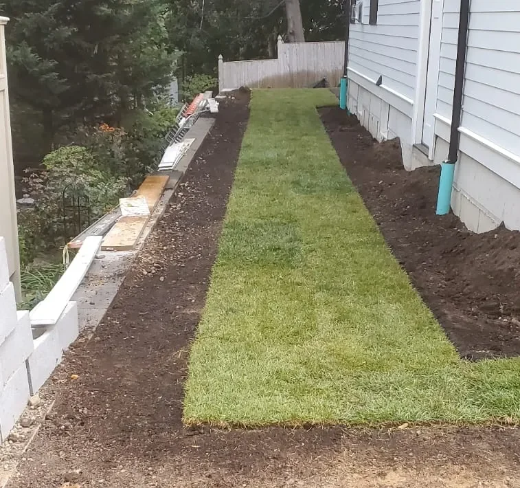 sod installation