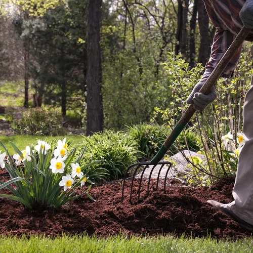 Spring Clean Up